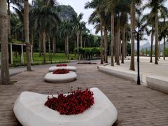 -南宁花花大世界景区