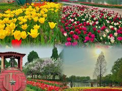 -石家庄市植物园