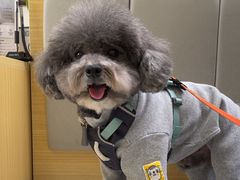 -美联众合动物医院·24h转诊中心