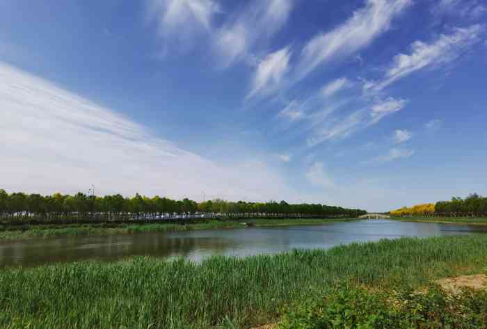 海河教育园"津南区的海河教育园很有名,人文环境也是数.