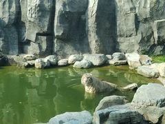 -北京野生动物园