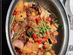 -禄婶鸡煲·打边炉