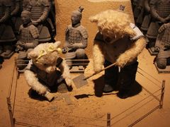 -成都泰迪熊博物馆