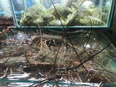 -班赞海鲜市场