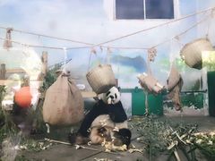-无锡动物园·太湖欢乐园