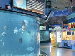 -烟台海昌鲸鲨海洋公园