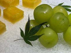 -觀芷隐轩