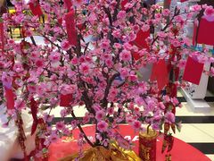 -万达影城(安吉万达广场IMAX店)