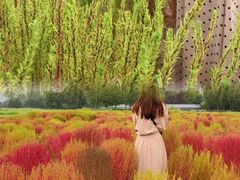 -汉长安城未央宫国家考古遗址公园