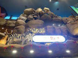 -卡通尼·Safari非洲探索乐园·生日会(金桥国际商业广场店)