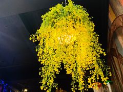 -年轮烧烤·羊蝎子·烤鱼(星湖街店)