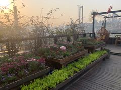 -冰冰龙虾·江湖菜·花园江景餐厅