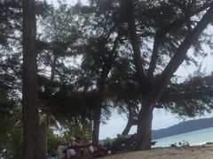-东姑阿都拉曼海洋公园