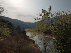 -世间香境·七溪地