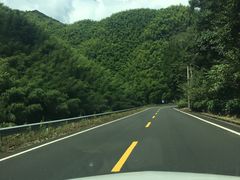 -四明山国家森林公园