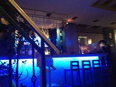 -Sirena海妖日咖夜酒