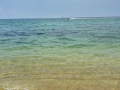 -玫瑰海岸文化旅游度假区