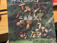 -一朵菌·野生菌探索家火锅(南亚店)