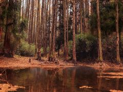 -山王坪喀斯特国家生态公园