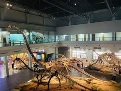 -自贡恐龙博物馆