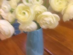 -MUSANG KING猫山王(龙湖杭州滨江天街店)