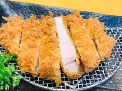 -胜博殿日式炸猪排(西红门店)