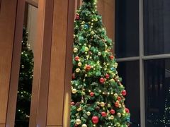 -嘉定凯悦·咖啡厅