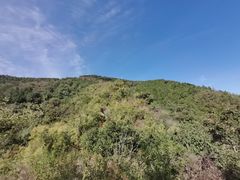 -北京鹫峰国家森林公园