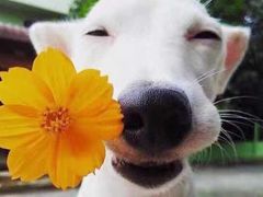 -牛王庙(桥头街店)