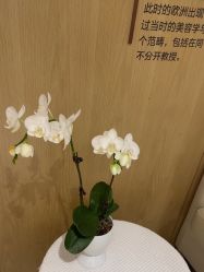 -广东韩妃整形外科医院