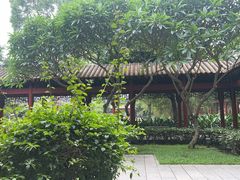 -顺峰山公园