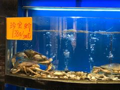 -莆鑫海鲜城(浏河店)