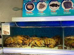 水产区-盒马鲜生(岭南新世界店)