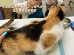 -美联众合24小时·皮肤科·外科·全科诊疗中心(华苑分院)