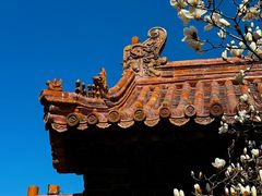-故宫博物院(故宫)