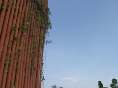 -芒洲湿地公园