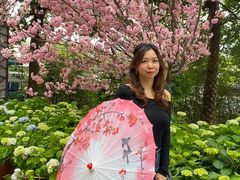 -天适樱花悠乐园