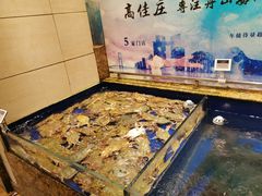 -高佳庄·舟山海鲜(海景旗舰店)
