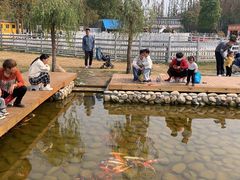 -前小桔亲子创意农场·草莓采摘·露营烧烤