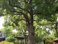 -无锡惠山寺