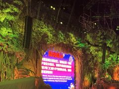 -广州长隆国际大马戏