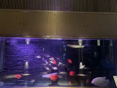 -手佳·水疗汇(嘉益店)