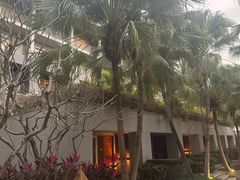 -日落吧·海景咖啡厅·餐酒吧·鸡尾酒·下午茶·乐队表演·浪漫夕阳·三亚文华东方酒店