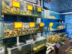 -蚝专家(北滘店)