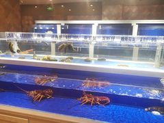 水产区-泰河谷·豆捞