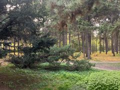 -黑龙江省森林植物园