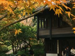 -中国茶叶博物馆(双峰馆区)