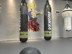 -Super Sy泰拳格斗