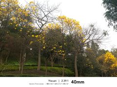 -广州市白云山风景名胜区