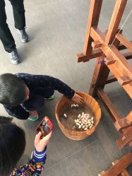-太湖雪蚕桑文化园